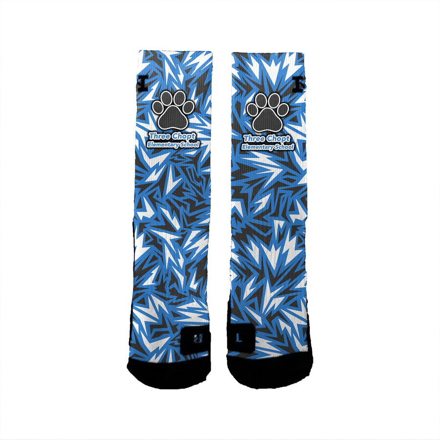 Three Chopt Elementary Maze